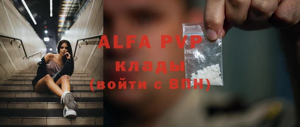 спайс Гусев