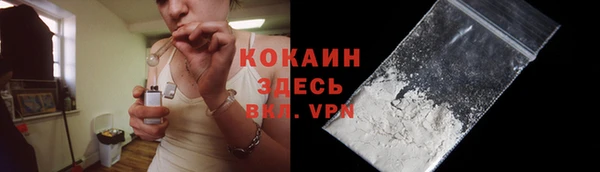 спайс Гусев