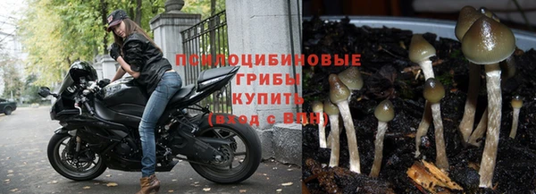 спайс Гусев