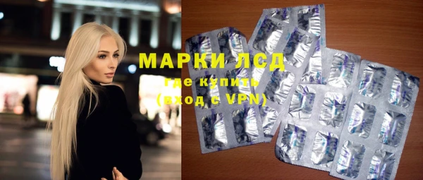 спайс Гусев