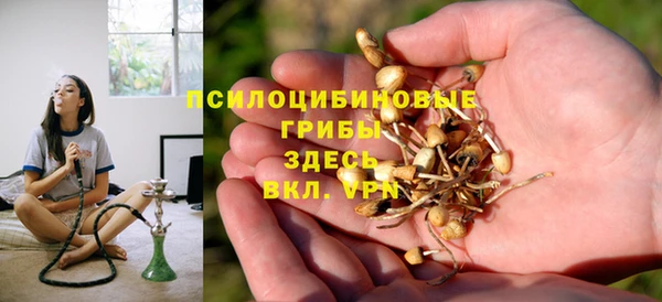 2c-b Гусь-Хрустальный