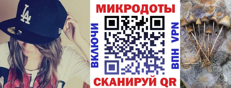 Псилоцибиновые грибы MAGIC MUSHROOMS  Купить где  Чебоксары 